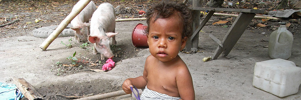 Baby mit Schwein im Hof