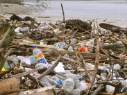 Abfall am Strand