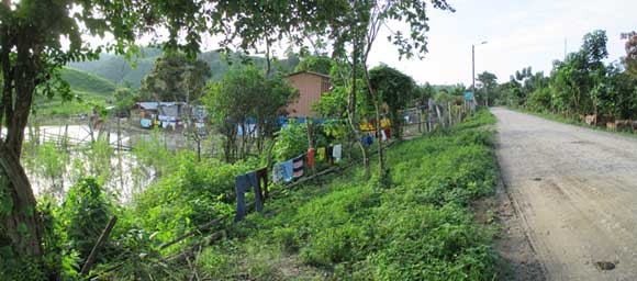 Schlamm